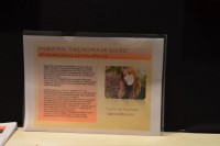 /album/exposicion-hotel-alcion-de-soliis-/a10-al-12-de-febrero-343-jpg/